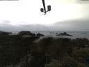 ./images/calvert/lookout/20210501/lookout20210501_112501.jpg