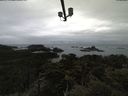 ./images/calvert/lookout/20210501/lookout20210501_123502.jpg