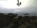 ./images/calvert/lookout/20210501/lookout20210501_125002.jpg