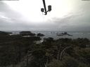 ./images/calvert/lookout/20210501/lookout20210501_145002.jpg