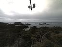 ./images/calvert/lookout/20210501/lookout20210501_151001.jpg