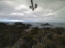./images/calvert/lookout/20210502/lookout20210502_101501.jpg