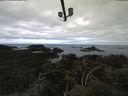 ./images/calvert/lookout/20210502/lookout20210502_105501.jpg