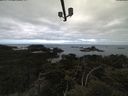 ./images/calvert/lookout/20210502/lookout20210502_110502.jpg