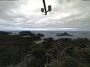./images/calvert/lookout/20210502/lookout20210502_112002.jpg