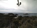 ./images/calvert/lookout/20210502/lookout20210502_141001.jpg
