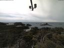 ./images/calvert/lookout/20210502/lookout20210502_141501.jpg