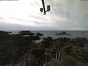 ./images/calvert/lookout/20210502/lookout20210502_145001.jpg