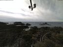 ./images/calvert/lookout/20210502/lookout20210502_145502.jpg
