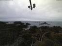 ./images/calvert/lookout/20210502/lookout20210502_210502.jpg
