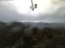 ./images/calvert/lookout/20210503/lookout20210503_083501.jpg