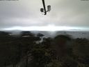 ./images/calvert/lookout/20210503/lookout20210503_092501.jpg