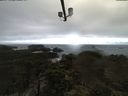 ./images/calvert/lookout/20210503/lookout20210503_093501.jpg