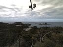 ./images/calvert/lookout/20210503/lookout20210503_122002.jpg