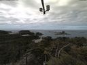 ./images/calvert/lookout/20210503/lookout20210503_122502.jpg