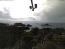 ./images/calvert/lookout/20210503/lookout20210503_154001.jpg