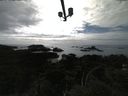 ./images/calvert/lookout/20210503/lookout20210503_165501.jpg