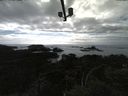 ./images/calvert/lookout/20210503/lookout20210503_171501.jpg