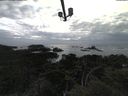 ./images/calvert/lookout/20210503/lookout20210503_194501.jpg