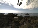 ./images/calvert/lookout/20210504/lookout20210504_145501.jpg