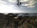 ./images/calvert/lookout/20210504/lookout20210504_154001.jpg