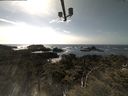 ./images/calvert/lookout/20210504/lookout20210504_161001.jpg
