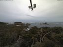 ./images/calvert/lookout/20210505/lookout20210505_072001.jpg