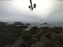./images/calvert/lookout/20210505/lookout20210505_081502.jpg