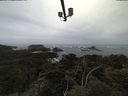 ./images/calvert/lookout/20210505/lookout20210505_082502.jpg