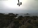 ./images/calvert/lookout/20210505/lookout20210505_084501.jpg