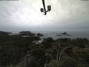 ./images/calvert/lookout/20210505/lookout20210505_102501.jpg