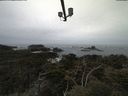 ./images/calvert/lookout/20210505/lookout20210505_105001.jpg
