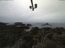 ./images/calvert/lookout/20210505/lookout20210505_105501.jpg