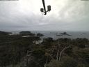 ./images/calvert/lookout/20210505/lookout20210505_112502.jpg