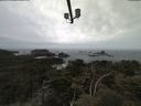 ./images/calvert/lookout/20210505/lookout20210505_113502.jpg