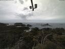 ./images/calvert/lookout/20210505/lookout20210505_115002.jpg