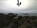 ./images/calvert/lookout/20210505/lookout20210505_120002.jpg