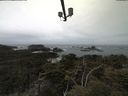 ./images/calvert/lookout/20210505/lookout20210505_121002.jpg