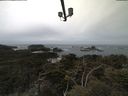 ./images/calvert/lookout/20210505/lookout20210505_121502.jpg