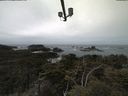 ./images/calvert/lookout/20210505/lookout20210505_124001.jpg