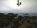 ./images/calvert/lookout/20210505/lookout20210505_124501.jpg