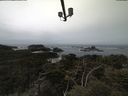 ./images/calvert/lookout/20210505/lookout20210505_125501.jpg