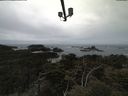 ./images/calvert/lookout/20210505/lookout20210505_132001.jpg