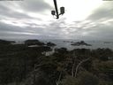 ./images/calvert/lookout/20210505/lookout20210505_155002.jpg