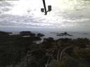 ./images/calvert/lookout/20210506/lookout20210506_055002.jpg