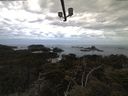 ./images/calvert/lookout/20210506/lookout20210506_061001.jpg