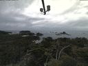 ./images/calvert/lookout/20210506/lookout20210506_094001.jpg