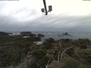 ./images/calvert/lookout/20210506/lookout20210506_100501.jpg