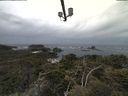 ./images/calvert/lookout/20210506/lookout20210506_101501.jpg