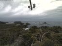 ./images/calvert/lookout/20210506/lookout20210506_102501.jpg